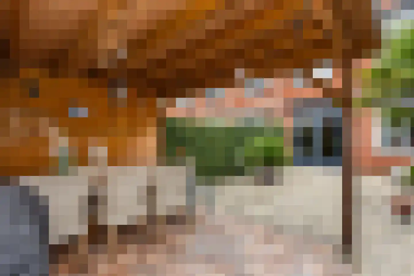 Rembrandthage 69 Nieuwegein thumbnail 16