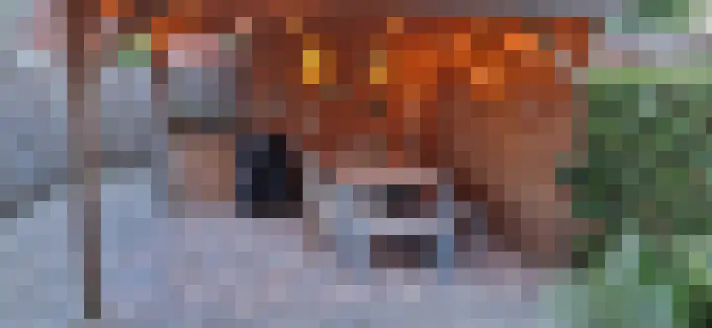 Rembrandthage 69 Nieuwegein thumbnail 17