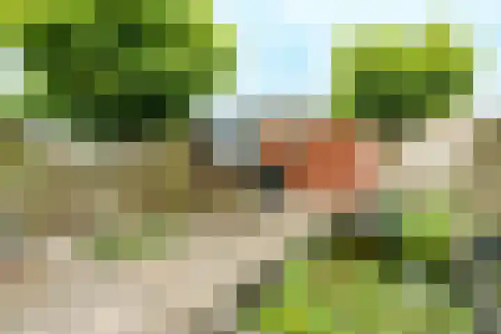 Rembrandthage 93 Nieuwegein thumbnail 18