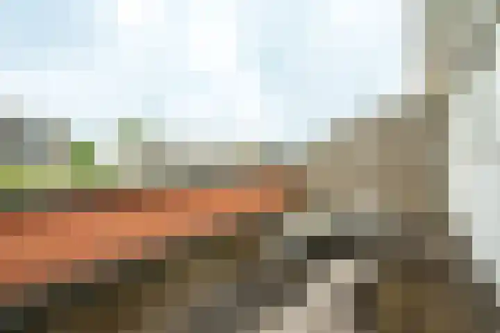 Rembrandthage 93 Nieuwegein thumbnail 20