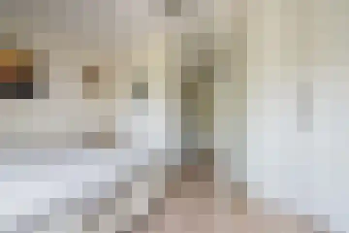 Rembrandthof 16 Purmerland thumbnail 15