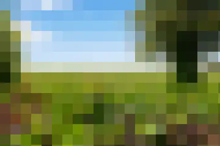 Rembrandthof 16 Purmerland thumbnail 28