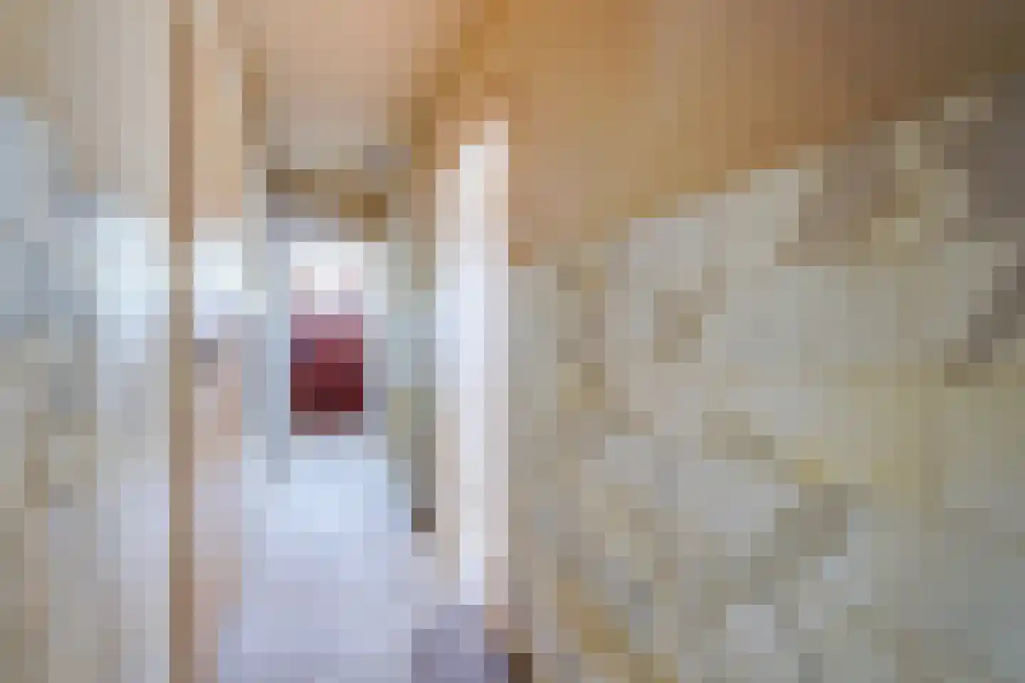 Rembrandtkade 106 Rijswijk thumbnail 11