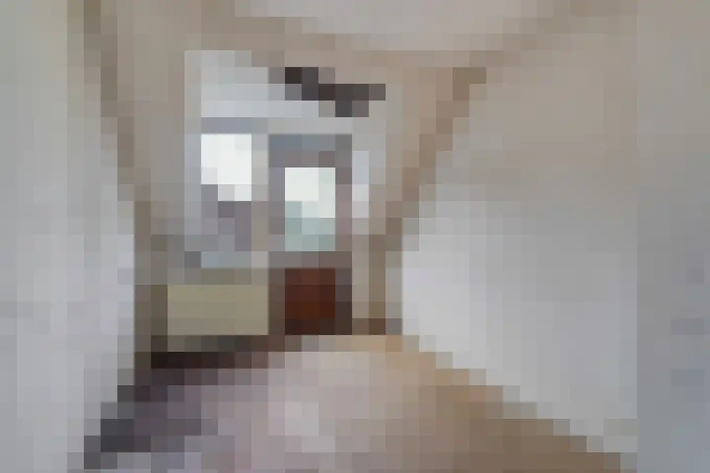 Rembrandtkade 106 Rijswijk thumbnail 25