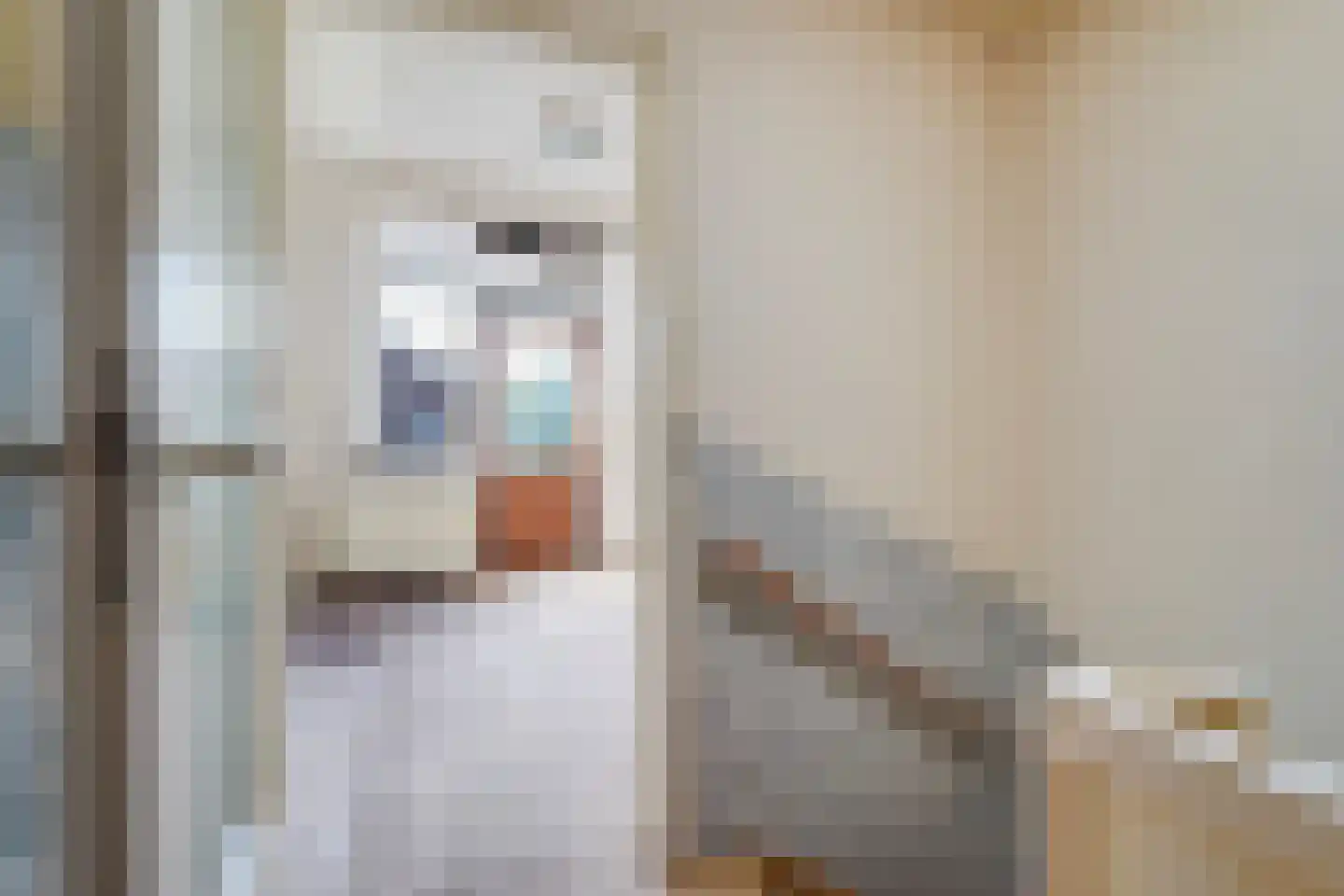 Rembrandtkade 106 Rijswijk thumbnail 26