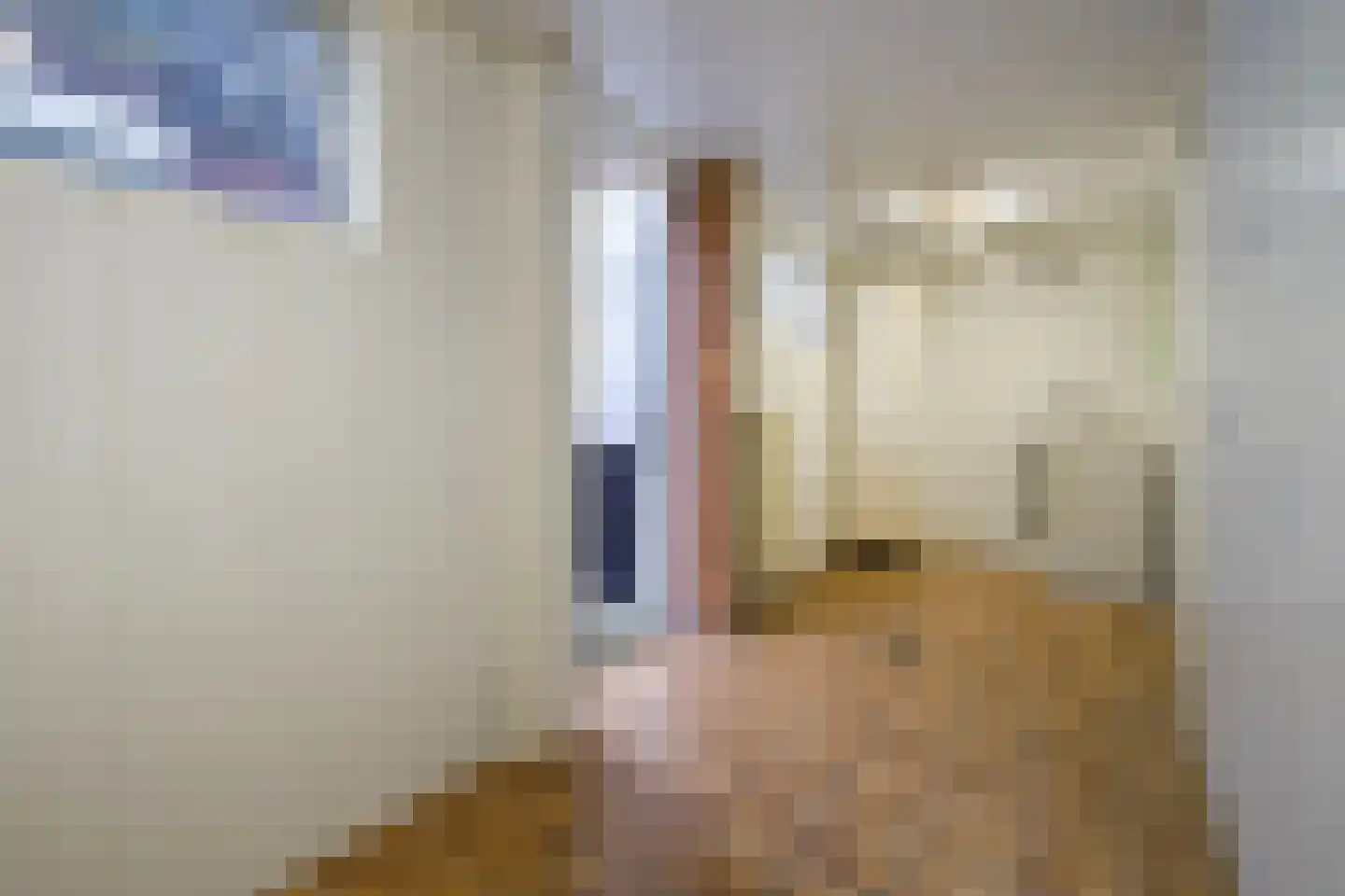Rembrandtkade 106 Rijswijk thumbnail 27