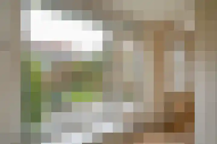 Rembrandtkade 128 Rijswijk thumbnail 16