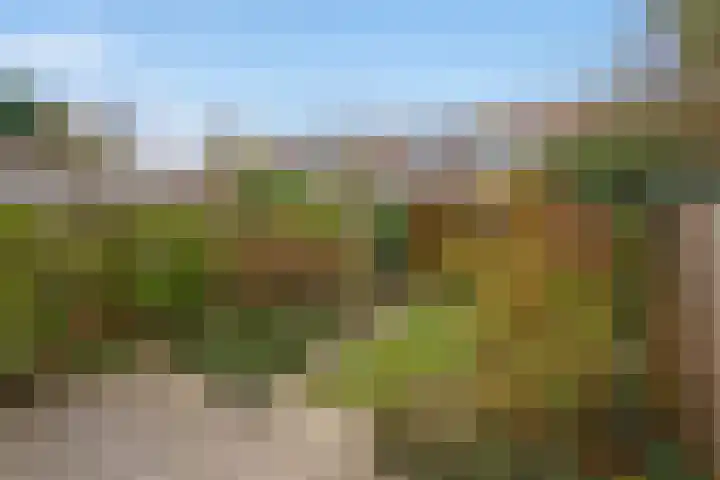 Rembrandtkade 128 Rijswijk thumbnail 24