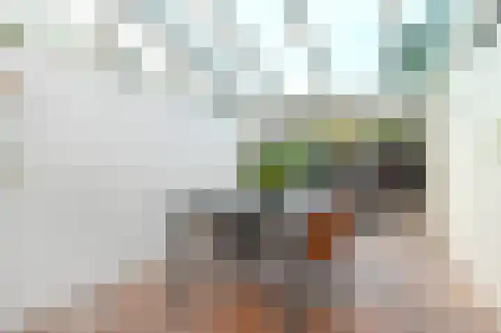 Rembrandtkade 160 Rijswijk thumbnail 23