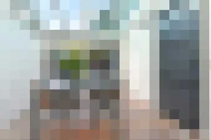 Rembrandtkade 160 Rijswijk thumbnail 24