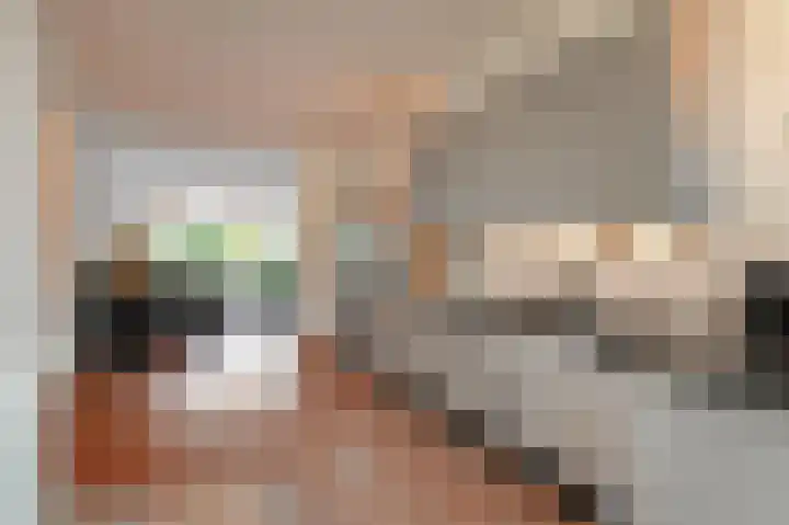 Rembrandtkade 160 Rijswijk thumbnail 41