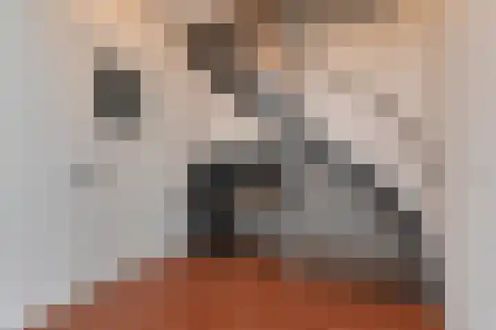 Rembrandtkade 160 Rijswijk thumbnail 43