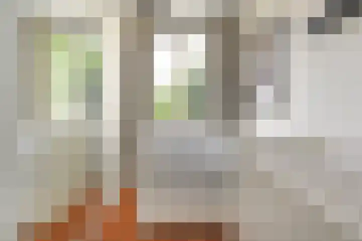 Rembrandtkade 160 Rijswijk thumbnail 50