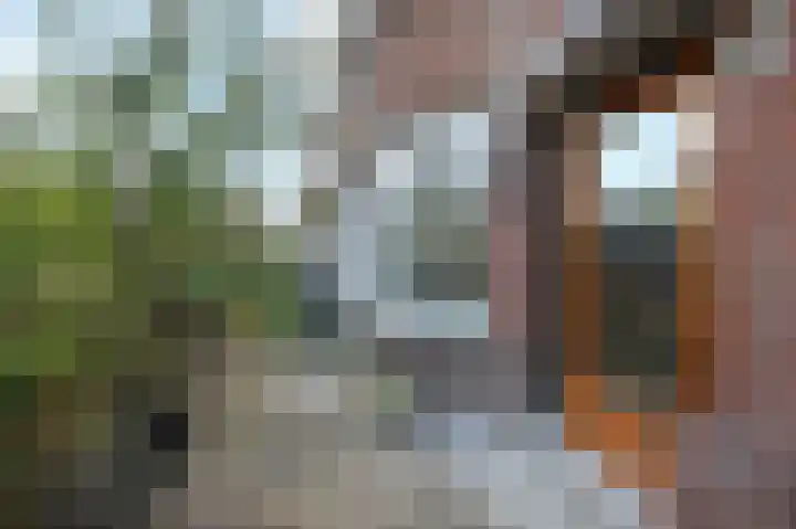 Rembrandtkade 160 Rijswijk thumbnail 7