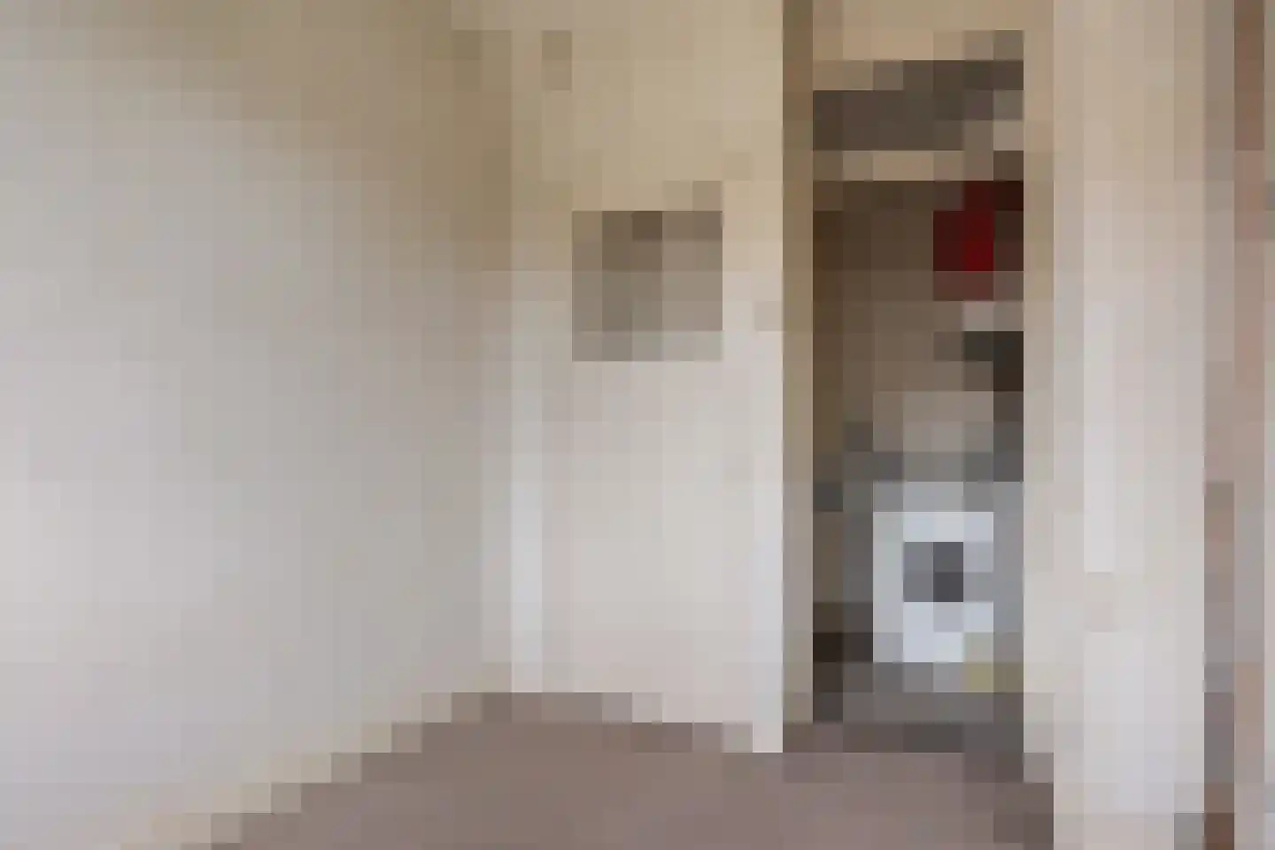 Rembrandtkade 176 Rijswijk thumbnail 23