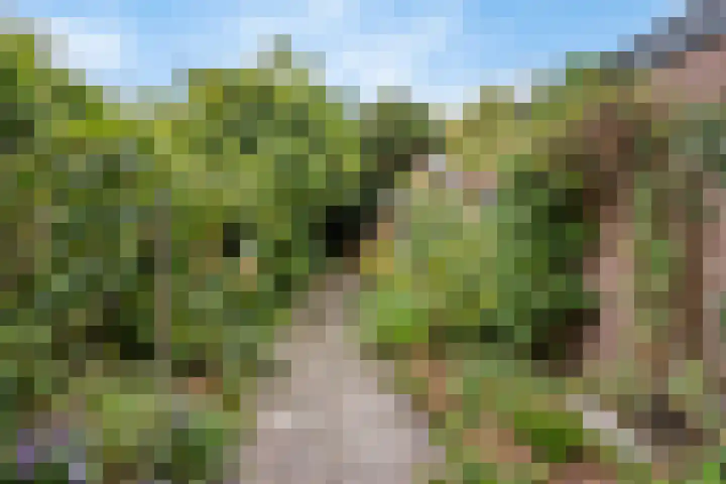 Rembrandtkade 176 Rijswijk thumbnail 28