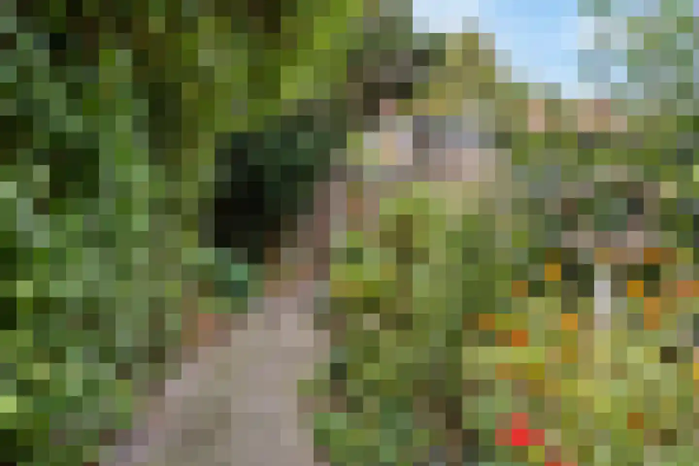 Rembrandtkade 176 Rijswijk thumbnail 29