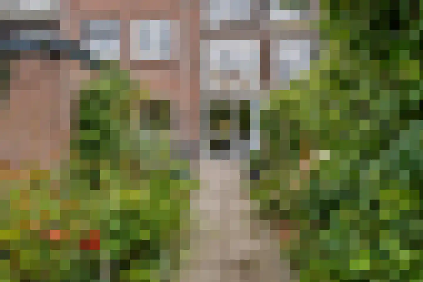 Rembrandtkade 176 Rijswijk thumbnail 31