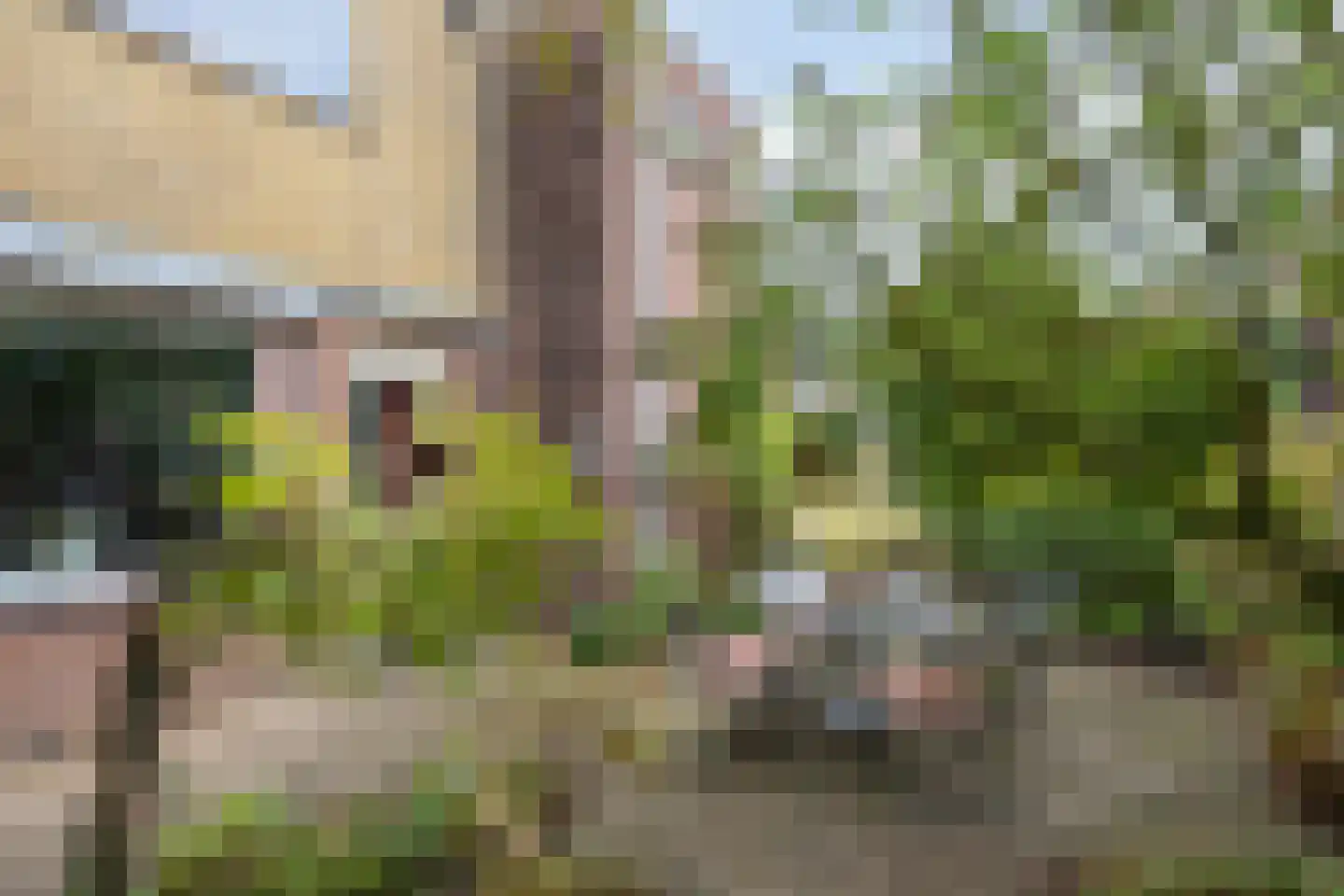 Rembrandtkade 189 Deventer thumbnail 38