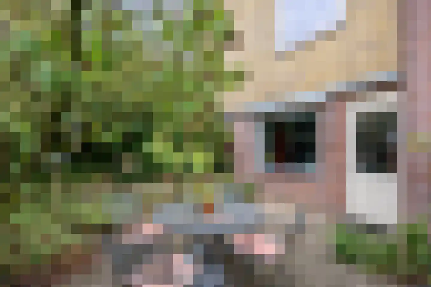 Rembrandtkade 189 Deventer thumbnail 39