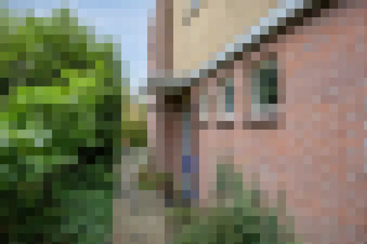 Rembrandtkade 189 Deventer thumbnail 5