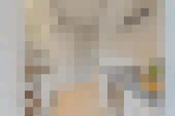 Rembrandtkade 192 Rijswijk thumbnail 19