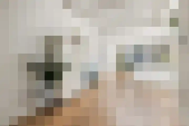 Rembrandtkade 22 Utrecht thumbnail 16