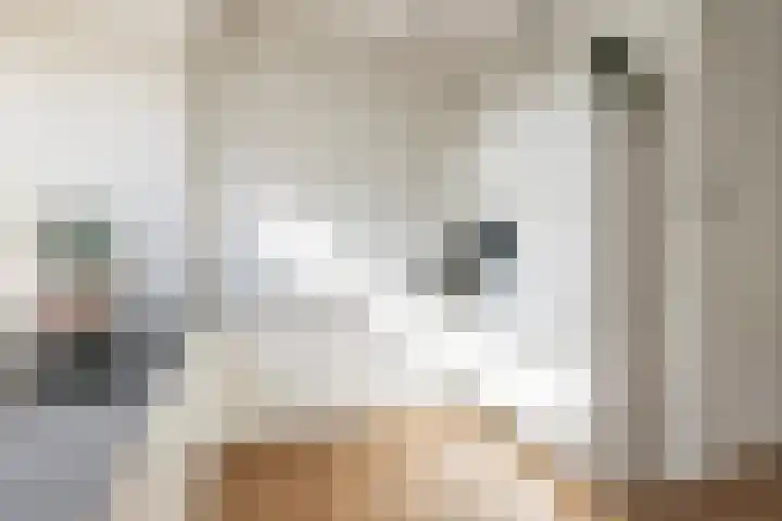 Rembrandtkade 22 Utrecht thumbnail 20