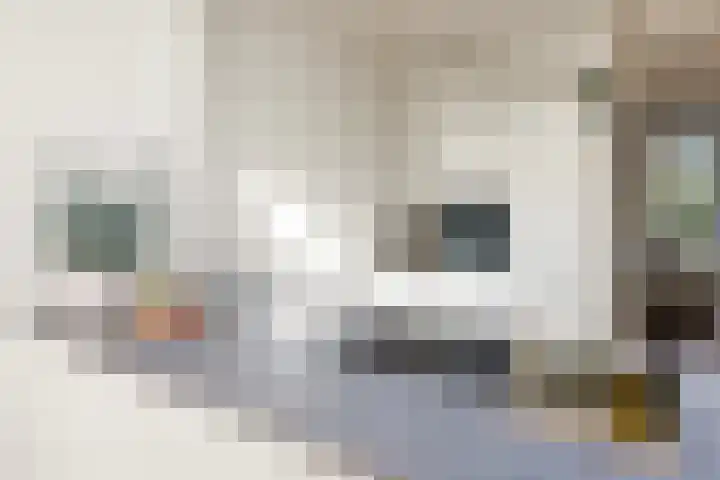 Rembrandtkade 22 Utrecht thumbnail 24