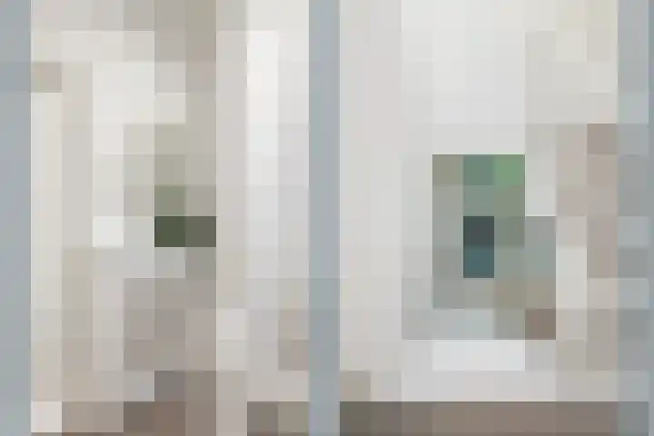 Rembrandtkade 22 Utrecht thumbnail 26