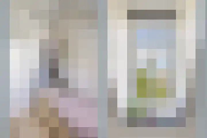 Rembrandtkade 22 Utrecht thumbnail 29