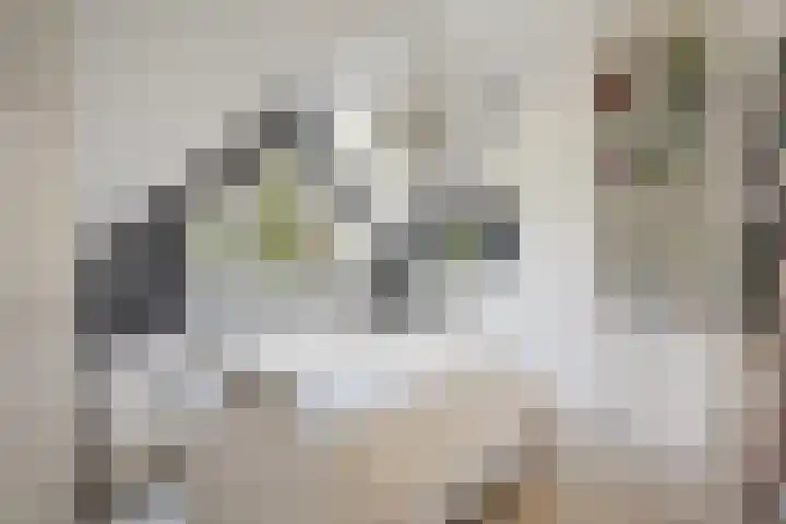 Rembrandtkade 22 Utrecht thumbnail 30