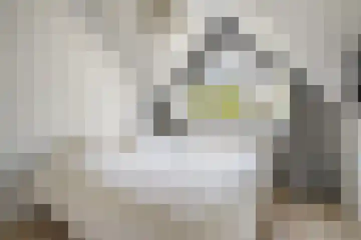 Rembrandtkade 22 Utrecht thumbnail 31