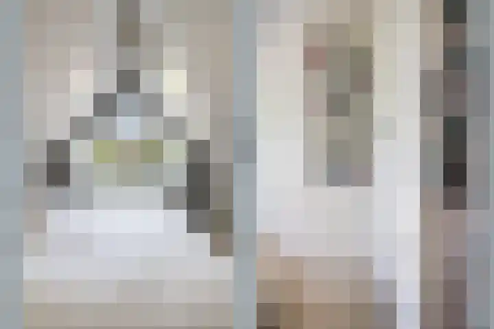 Rembrandtkade 22 Utrecht thumbnail 33
