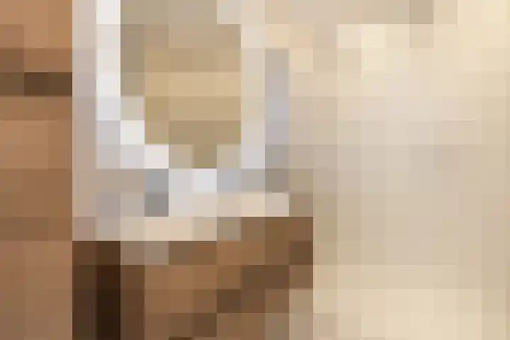 Rembrandtkade 22 Utrecht thumbnail 35
