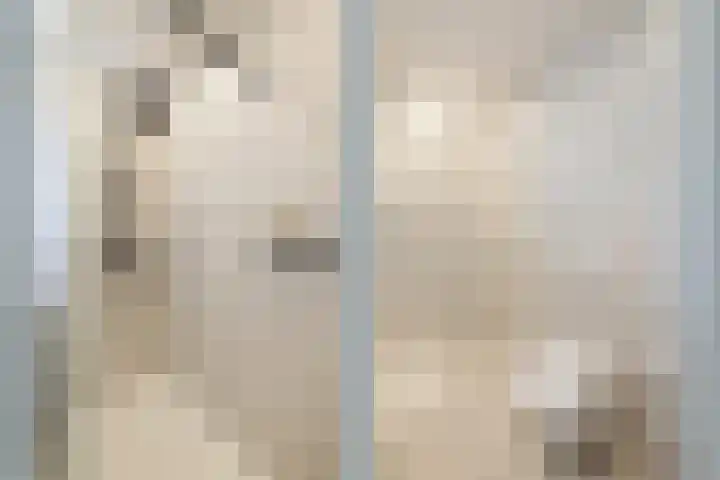 Rembrandtkade 22 Utrecht thumbnail 36