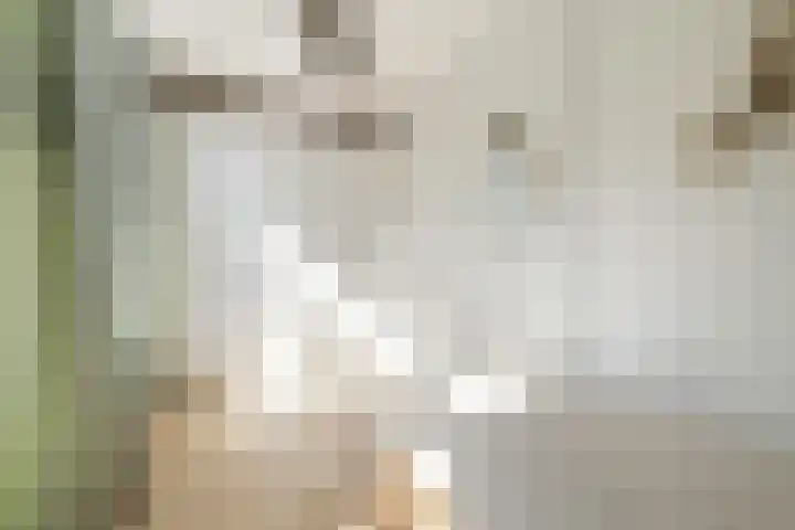 Rembrandtkade 22 Utrecht thumbnail 39