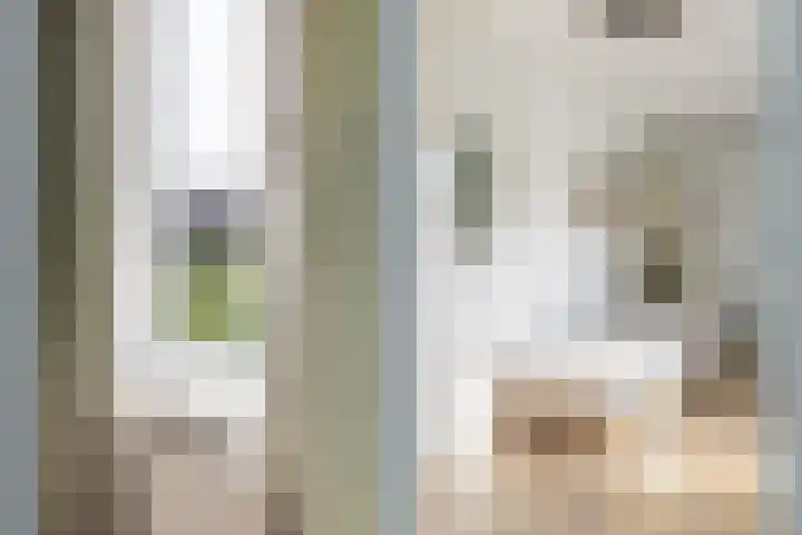 Rembrandtkade 22 Utrecht thumbnail 40
