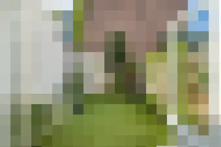 Rembrandtkade 22 Utrecht thumbnail 42