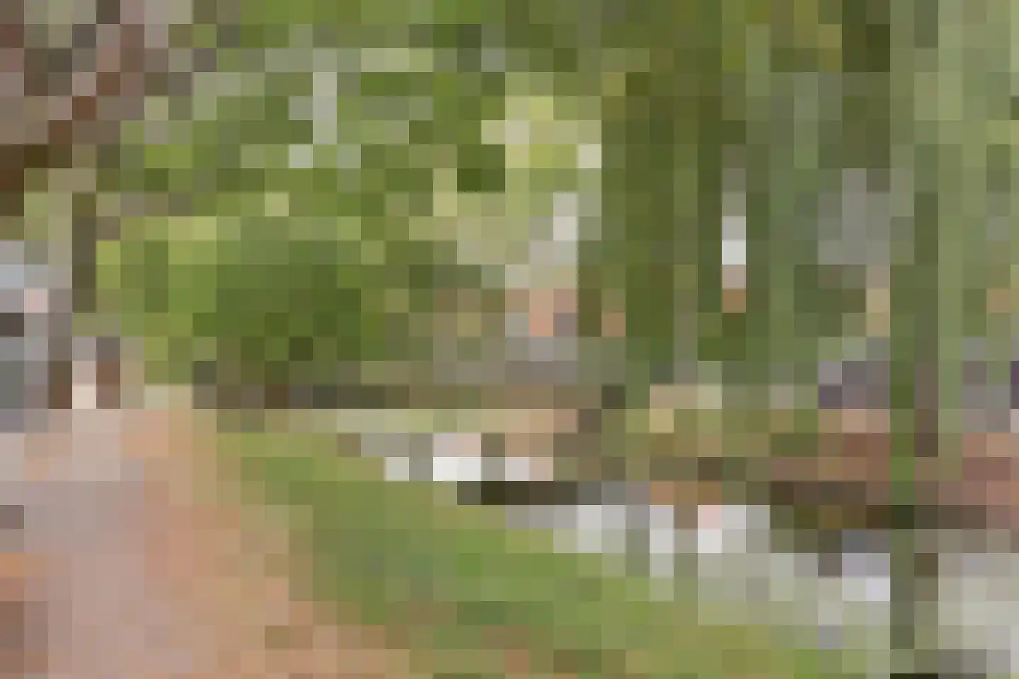 Rembrandtkade 222 Rijswijk thumbnail 14