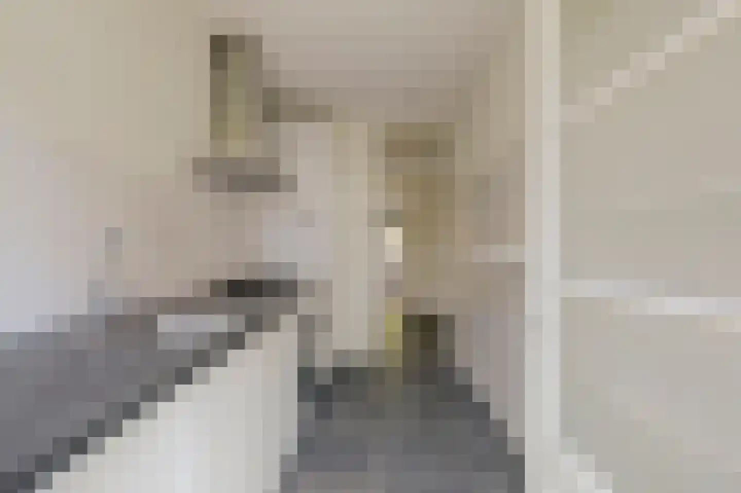 Rembrandtkade 222 Rijswijk thumbnail 25