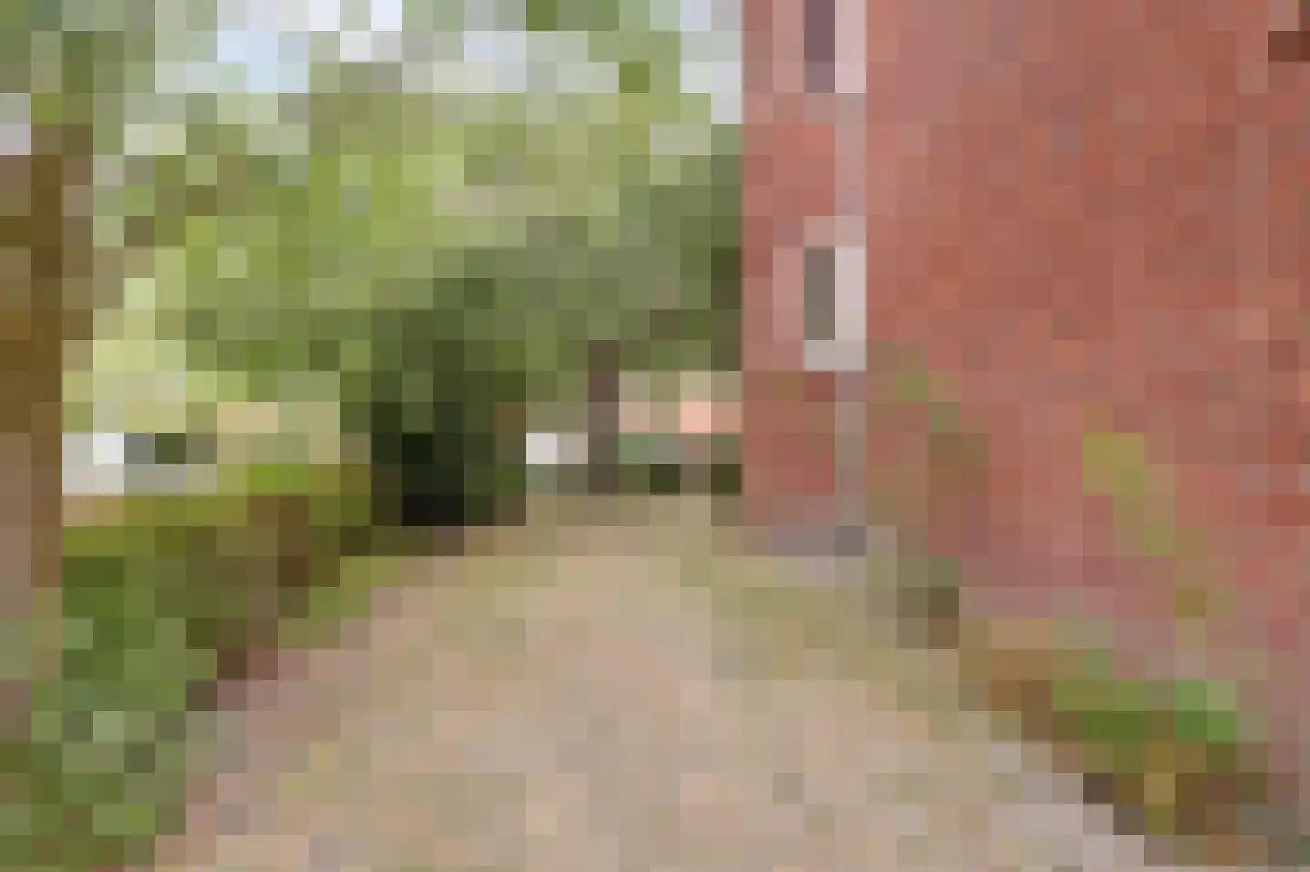 Rembrandtkade 222 Rijswijk thumbnail 30