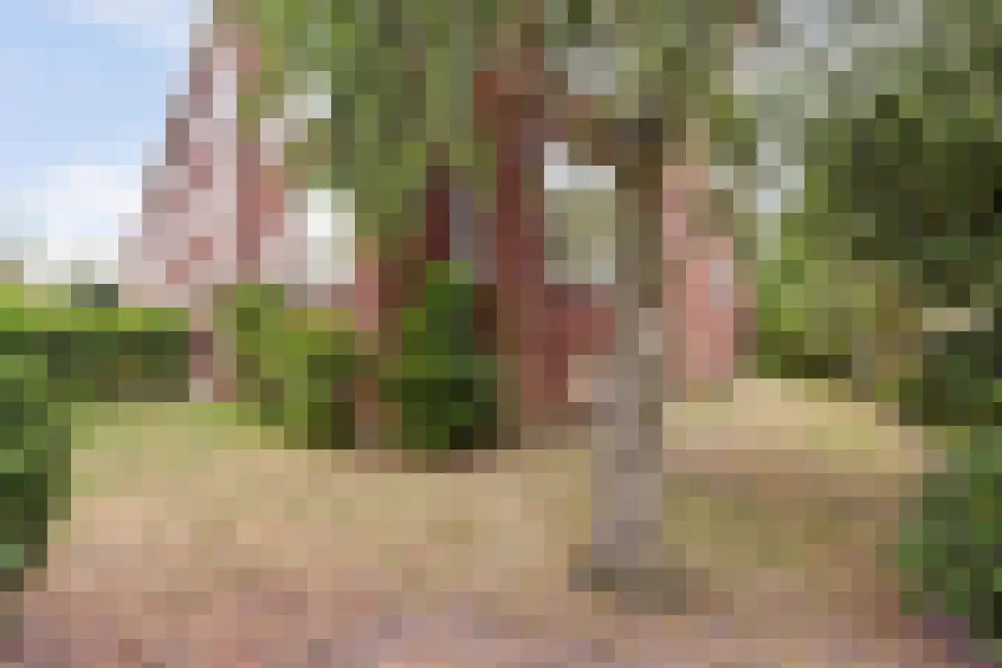 Rembrandtkade 222 Rijswijk thumbnail 31