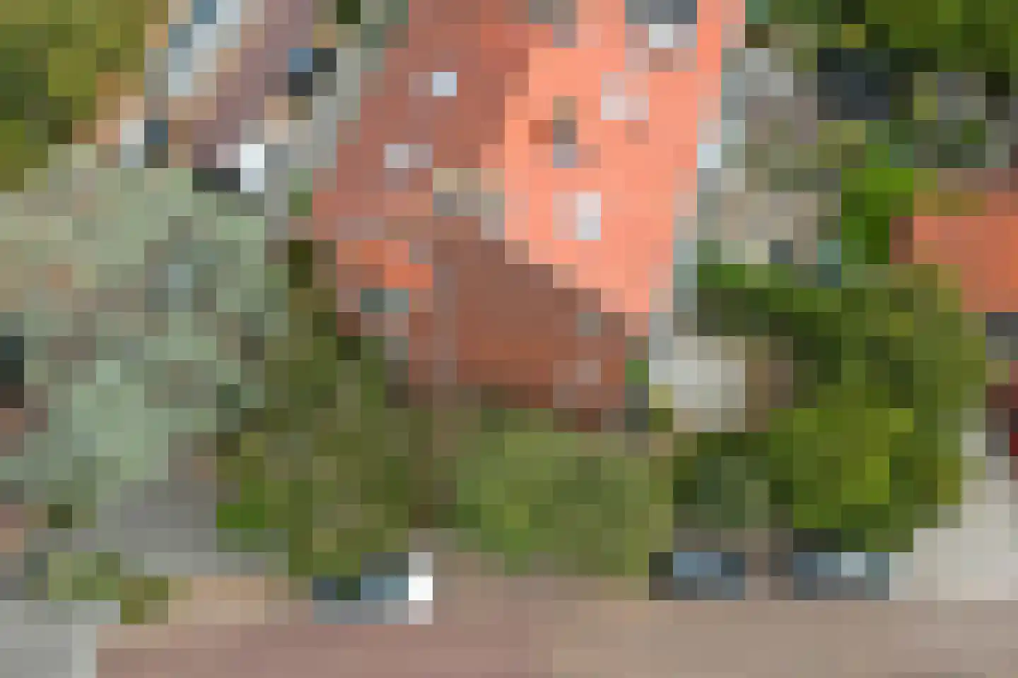 Rembrandtkade 222 Rijswijk thumbnail 40