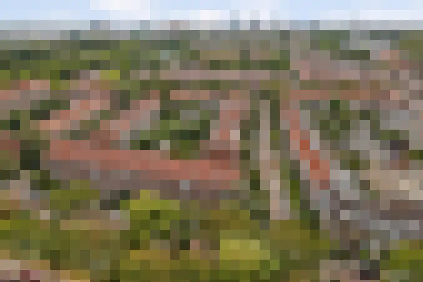 Rembrandtkade 222 Rijswijk thumbnail 43