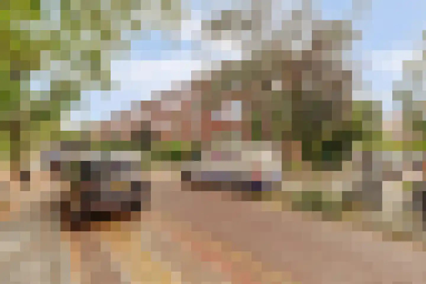 Rembrandtkade 222 Rijswijk thumbnail 45