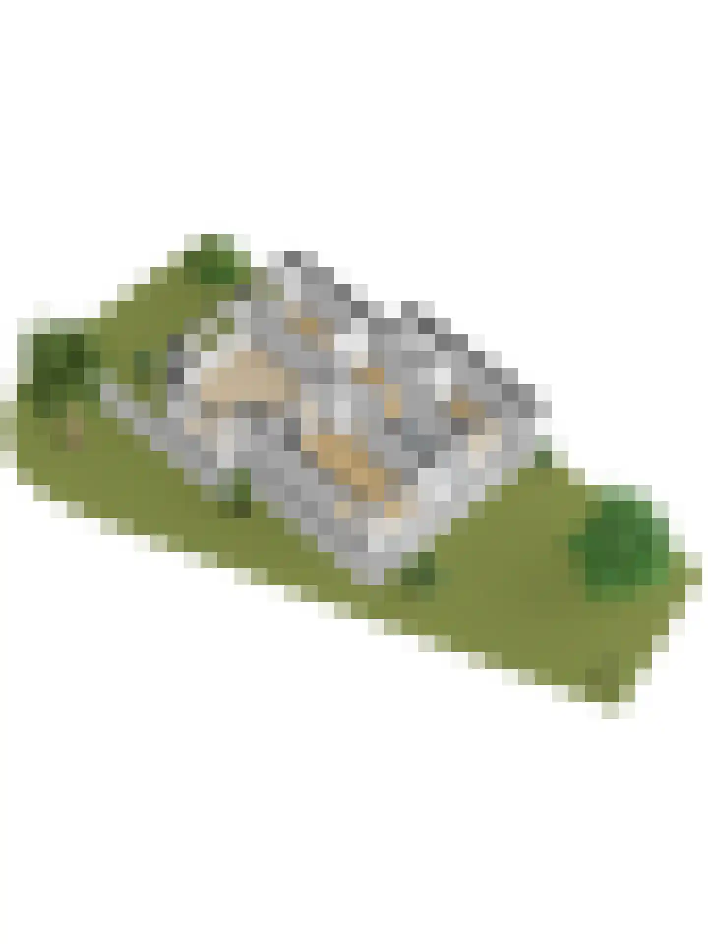 Rembrandtkade 222 Rijswijk thumbnail 52