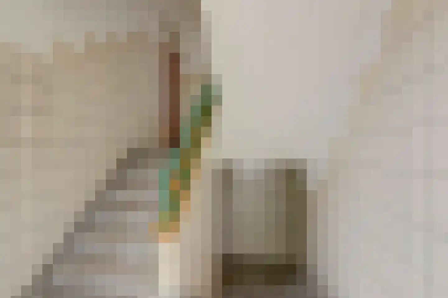 Rembrandtkade 222 Rijswijk thumbnail 7