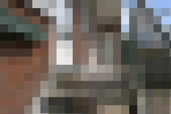Rembrandtkade 246 Rijswijk thumbnail 22