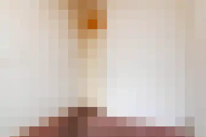 Rembrandtkade 246 Rijswijk thumbnail 32